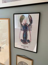 Indlæs billede til gallerivisning Louise Bjerkstad - Hummer (A3)